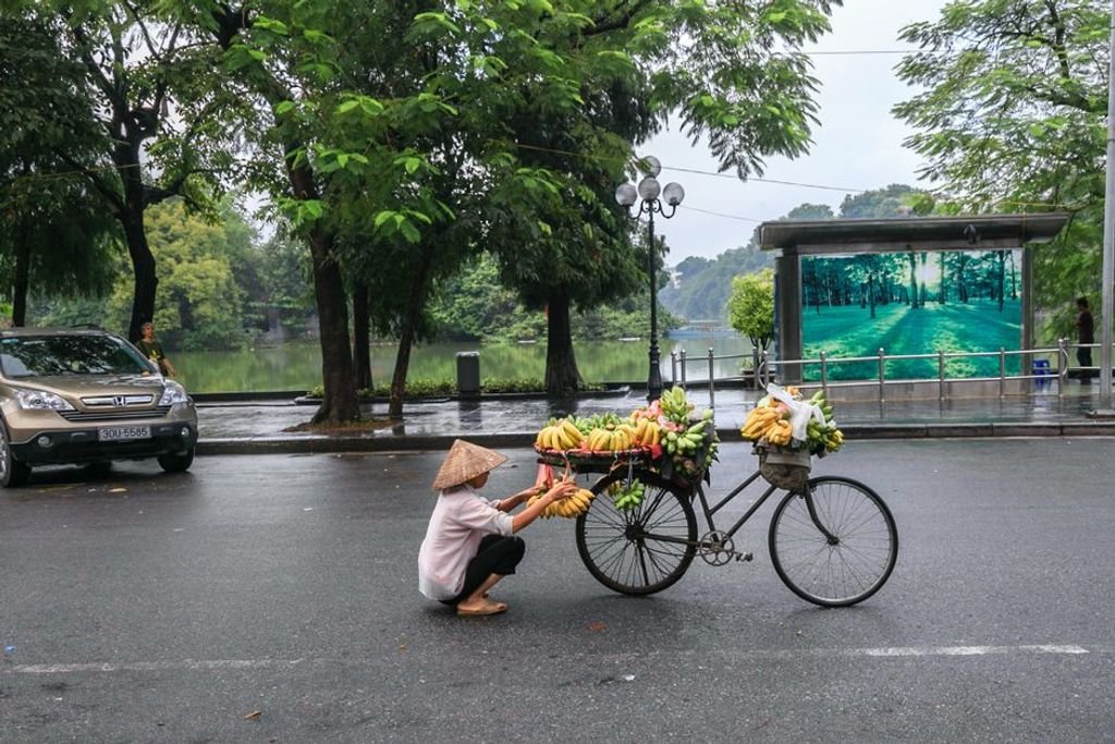 וייטנאם, קרדיט התמונה: Quang Nguyen Vinh באתר PEXELS